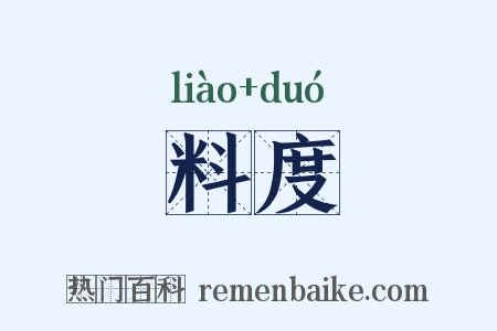 料度是什么意思的图片